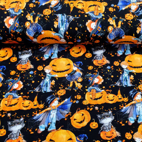 17115 Sommersweat.jp