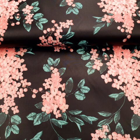 18925 transparent.jp