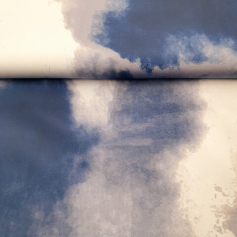 18925 transparent.jp