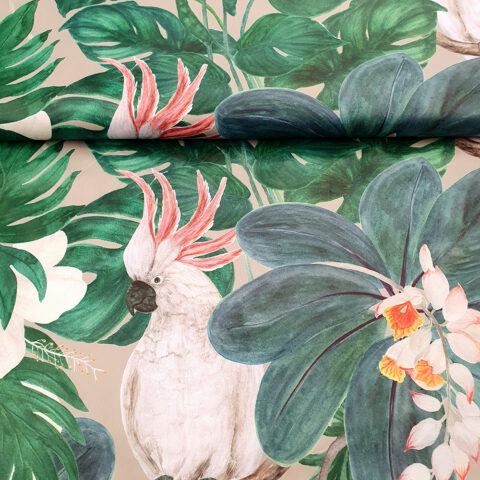 18925 transparent.jp