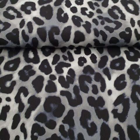 18925 transparent.jp