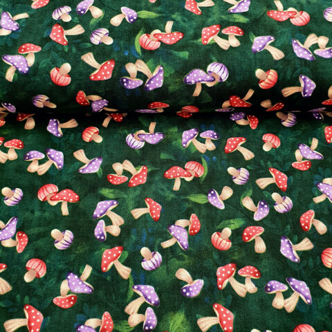 25072 Bienen, Waben.