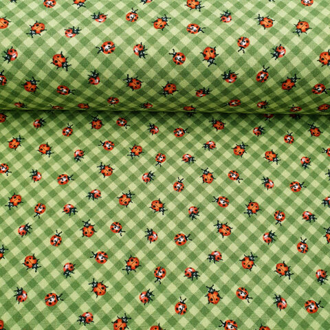 25072 Bienen, Waben.