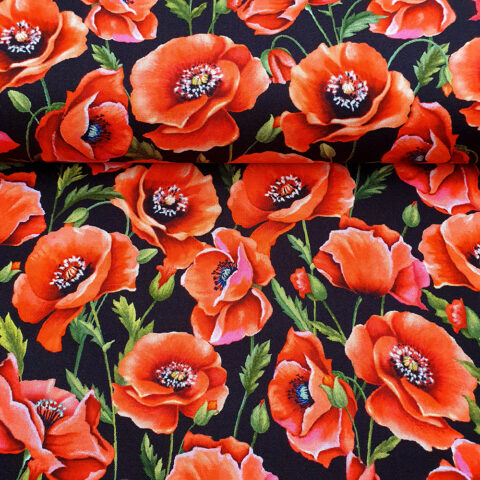 25072 Bienen, Waben.