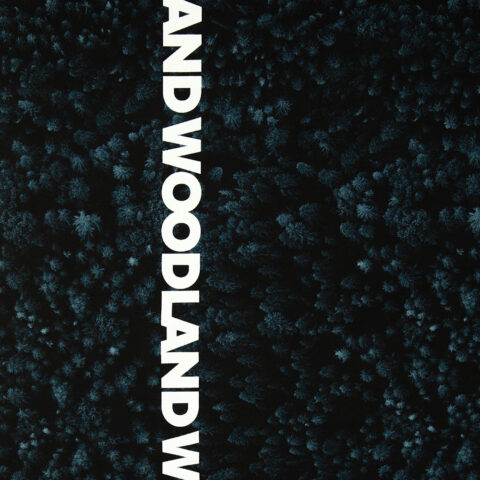 17551 Sommer Sweat.j