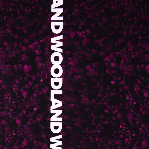 17551 Sommer Sweat.j