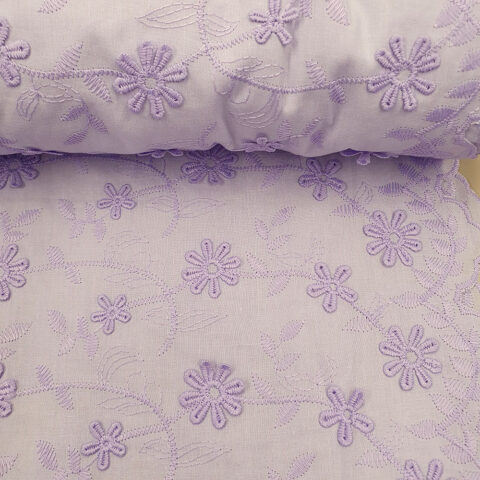 25988 Blusen, Bordür