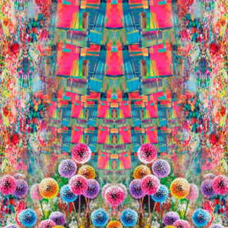 17115 Sommersweat.jp