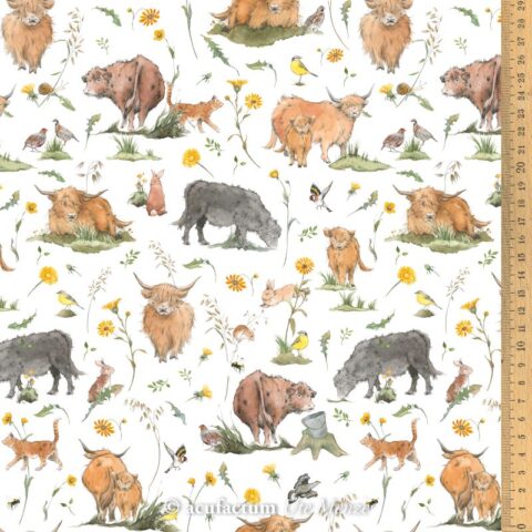 18036 Sommerjogger.j