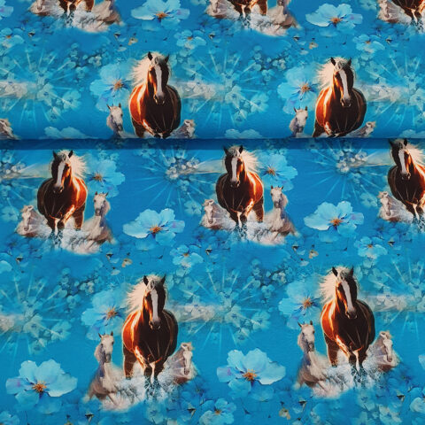 17115 Sommersweat.jp