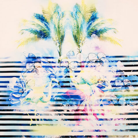 17551 Sommer Sweat.j