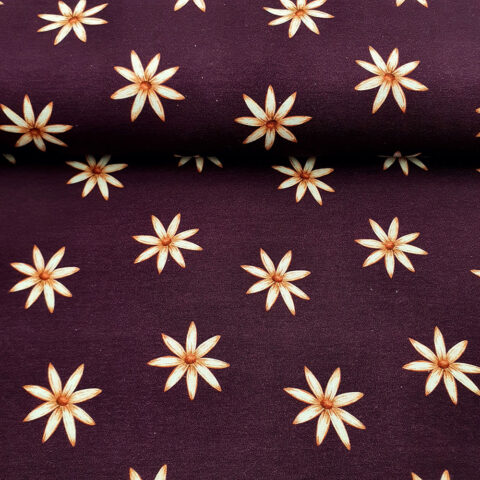 17551 Sommer Sweat.j