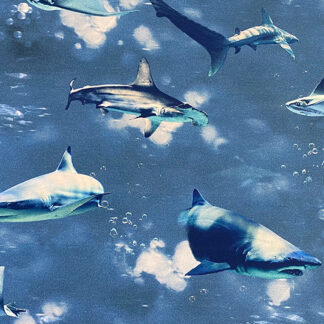 4648 Canvas Haifisch