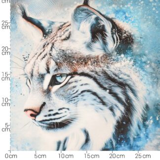 15788 Sweat gerauth.